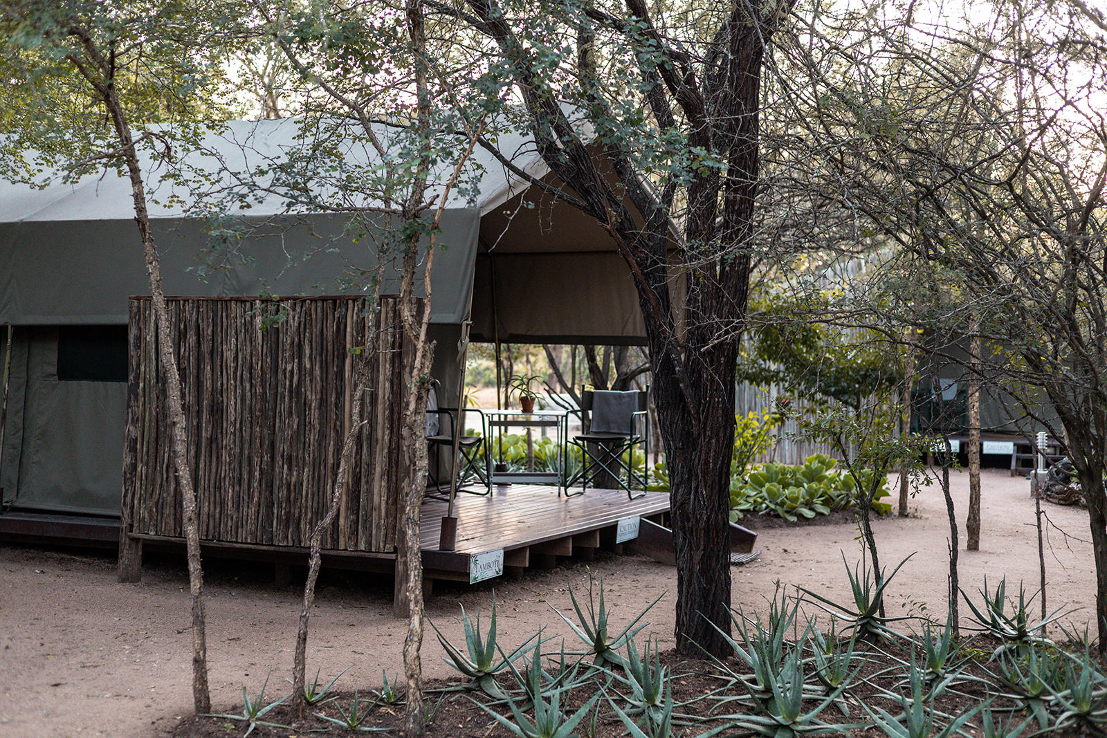 umkumbe bush lodge sabi sand (124)