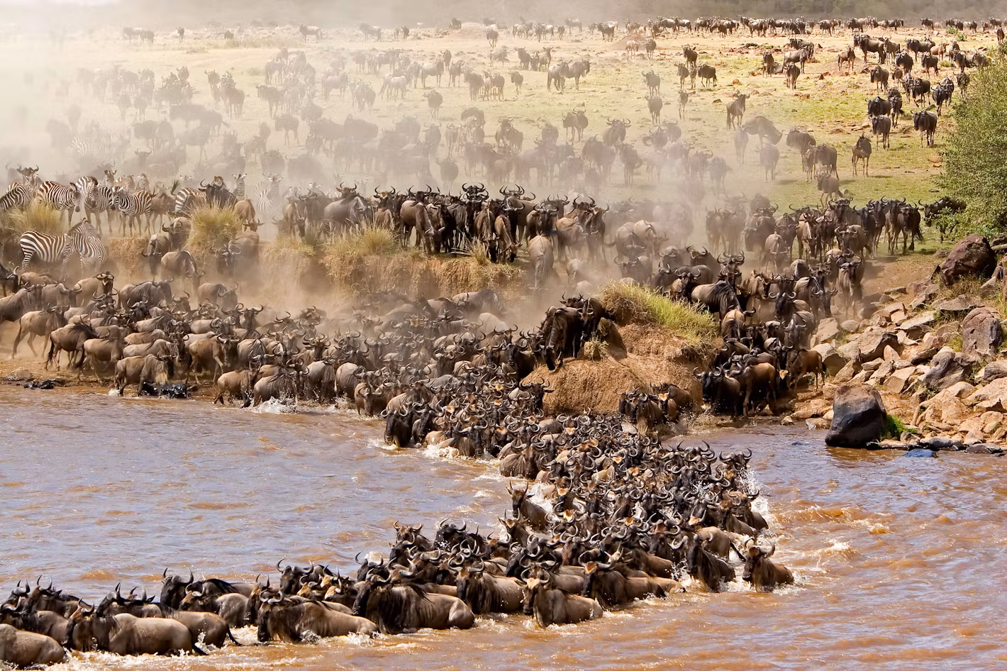 1 masai mara kenya timbuktu travel 6