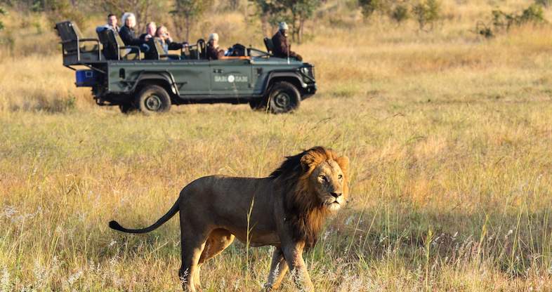 11 day kruger park tour game drive