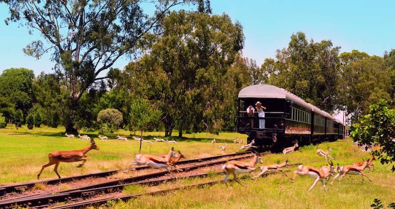 11 day kruger park tour train buk