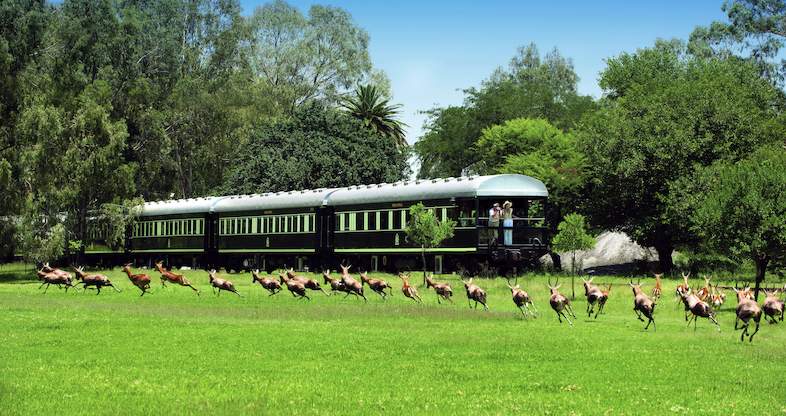 11 day kruger park tour train