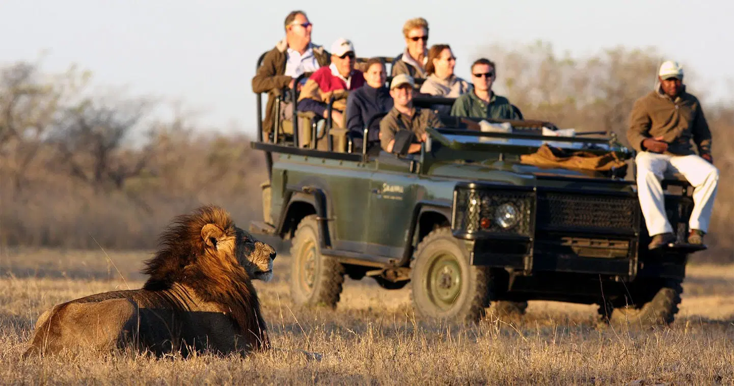 malaria free safari game drive