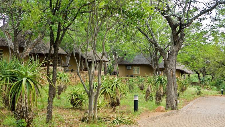 olifants rest camp bungalow