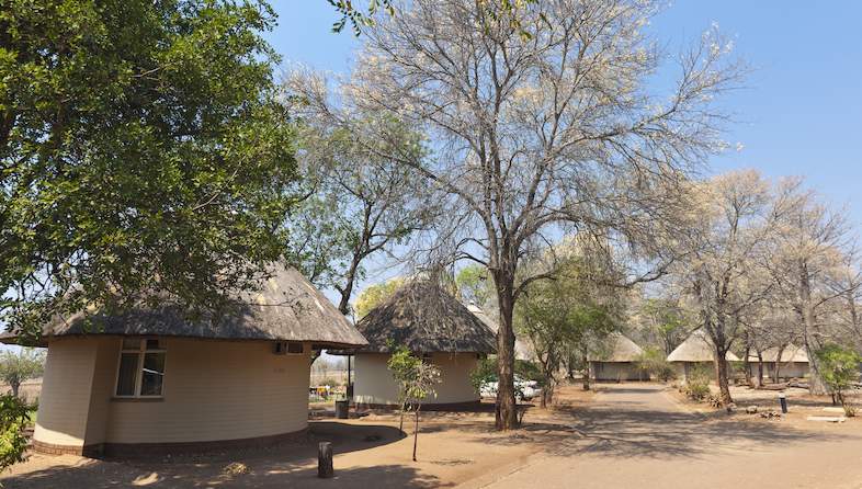 satara rest camp bungalows trees