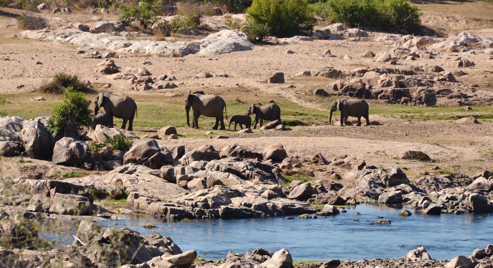 MjejaneRiverLodgeMjejaneGameReserveKrugerNationalPark14