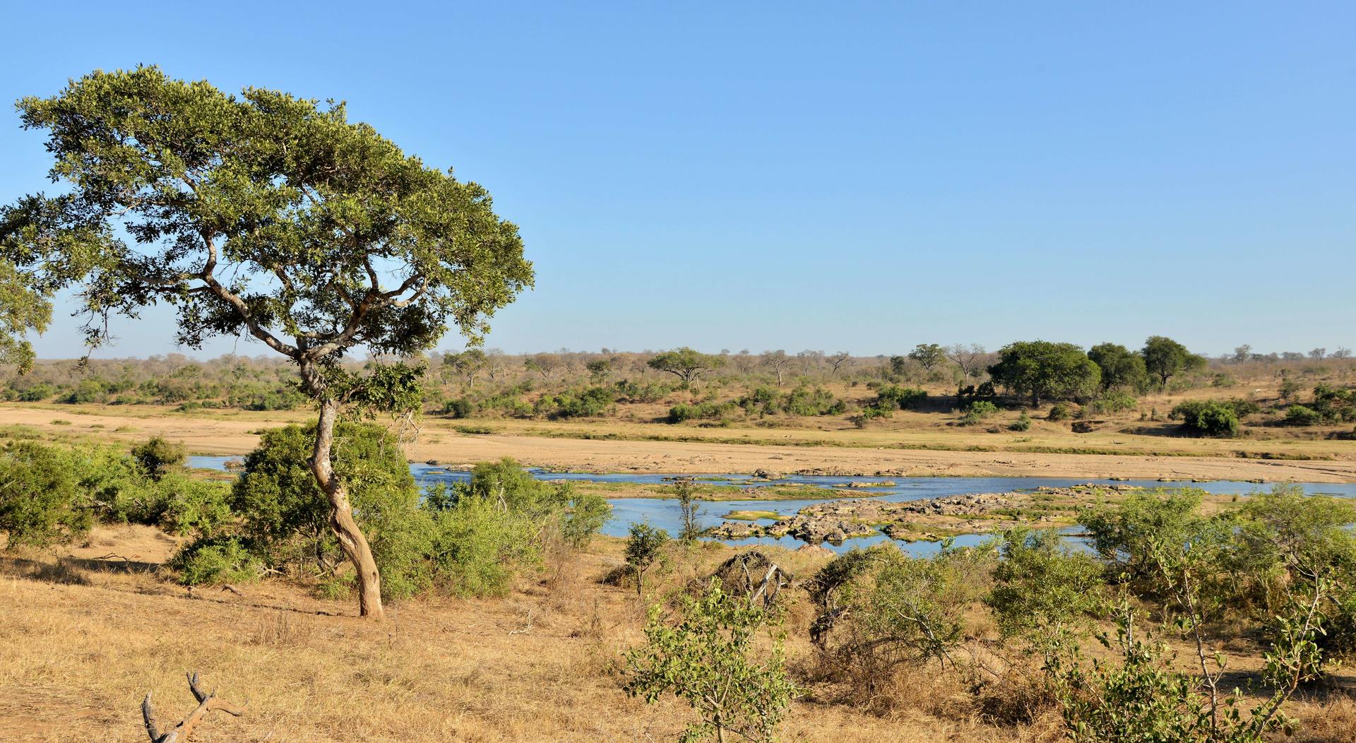MjejaneRiverLodgeMjejaneGameReserveKrugerNationalPark19